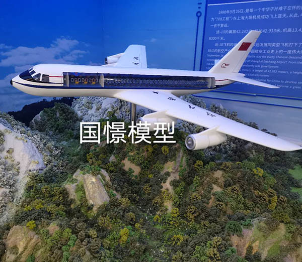 吴起县飞机模型