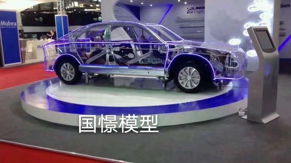 吴起县透明车模型